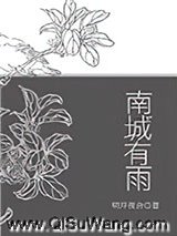 南城有雨