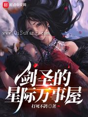 剑圣的星际万事屋