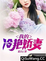 我的冷艳娇妻