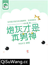 炮灰才是真男神
