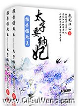 报告摄政王之太子要纳妃
