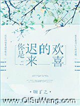 你是迟来的欢喜