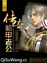 传奇机甲老公