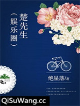 楚先生（娱乐圈）