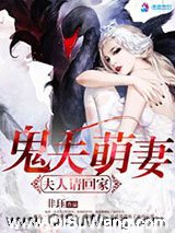 鬼夫萌妻之夫人请回家