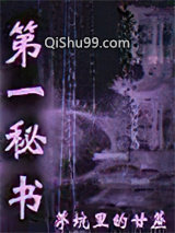 第一秘书