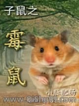 子鼠之霉鼠