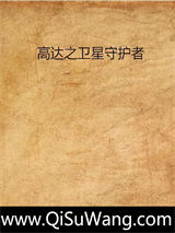 高达之卫星守护者