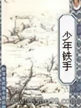 少年铁手