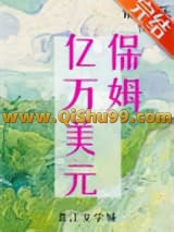 九零亿万美元保姆