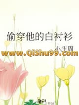 偷穿他的白衬衫