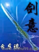 剑意-云东流