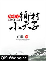 穿越之乡村小夫子