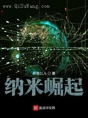 纳米崛起