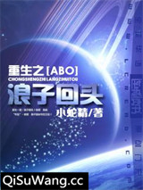 重生之浪子回头
