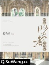 听说贤者有点忙[穿书]