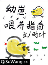 幼崽喂养指南