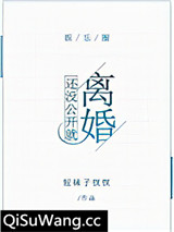 还没公开就离婚[娱乐圈]