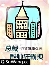 总裁酷帅狂霸拽