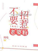 不要招惹老婆粉