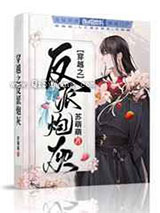 穿越之反派炮灰