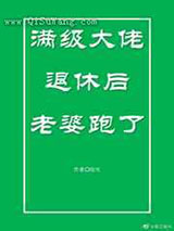 满级大佬退休后老婆跑了