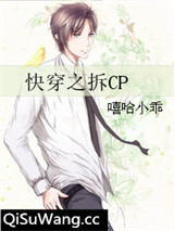快穿之拆CP