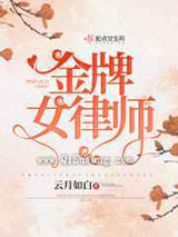 金牌女律师