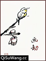 画劫