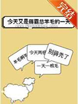 今天又是薅霸总羊毛的一天