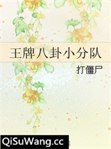 王牌八卦小分队
