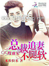 99度盛宠：总裁追妻不腿软