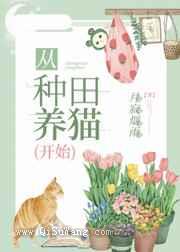 从种田养猫开始