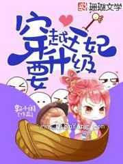 穿越王妃要升级