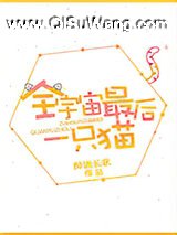 全宇宙最后一只猫