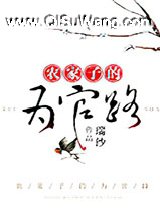 农家子的为官路
