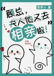 顾总,夫人他又去相亲啦!