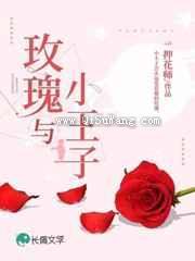 玫瑰与小王子