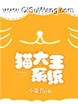 猫大王系统