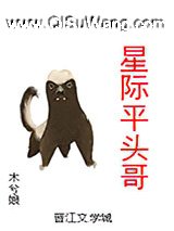 星际平头哥