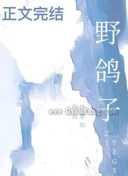 野鸽子