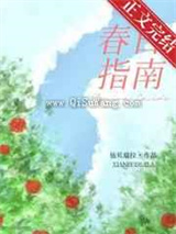 春日指南