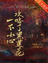 一不小心攻略了黑莲花