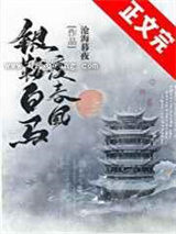 银鞍白马度春风