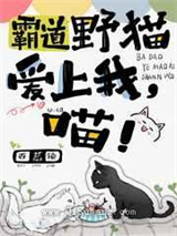 霸道野猫爱上我，喵