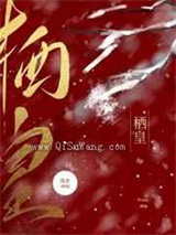 栖皇