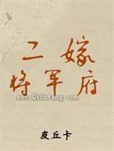 二嫁将军府