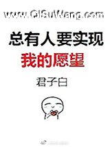 总有人要实现我的愿望