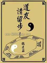 道友，请留步