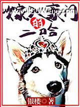 嫁入豪门的二哈